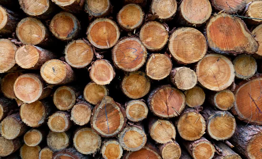 Stacked timber with log ends facing out — the harvest plots behind wood like this are what EUDR traceability has to reach back to